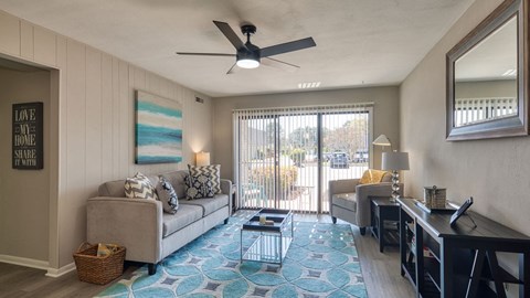 A living room with a grey couch and a blue patterned carpet.