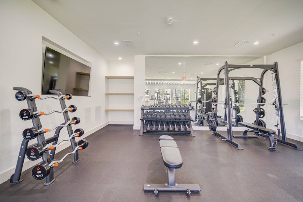 A gym with a variety of equipment including a bench, weights, and a mirror.