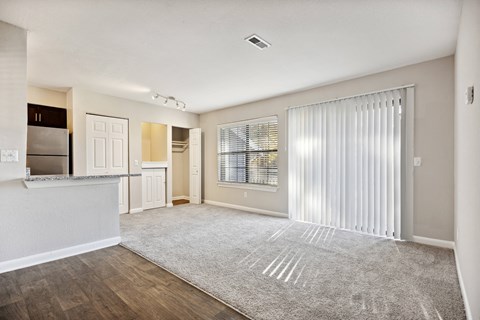 A spacious living room with a grey carpet and a window with white blinds.