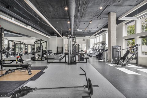 A spacious gym with a variety of equipment.