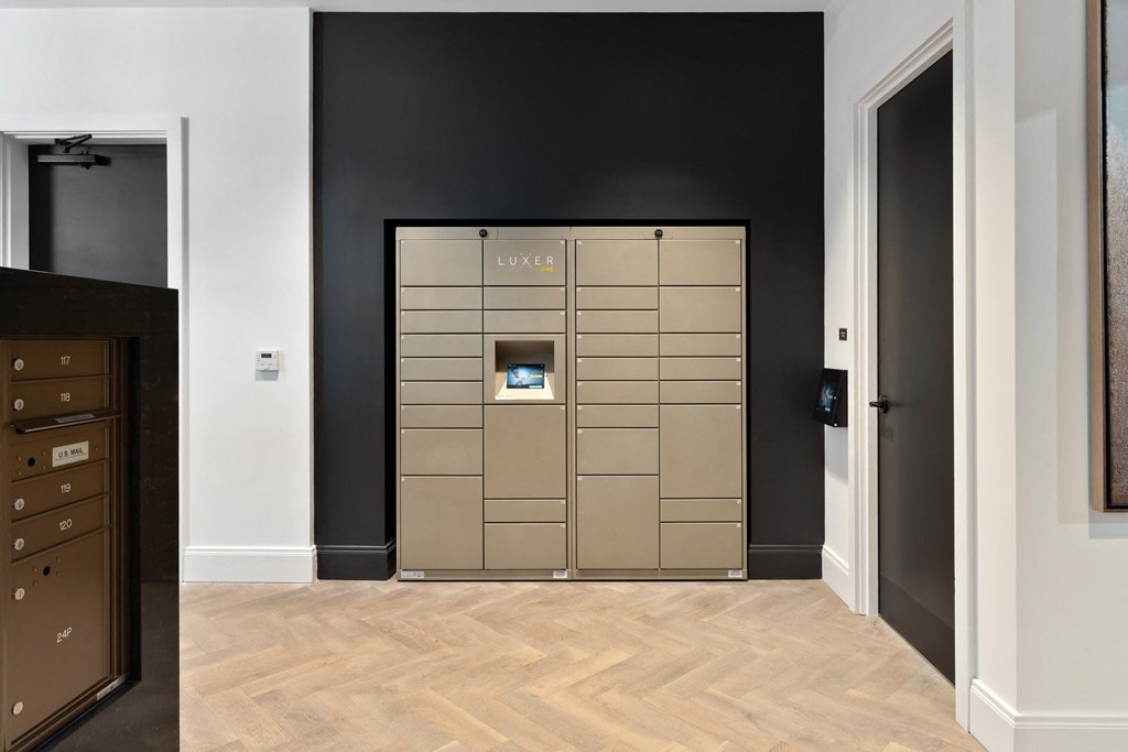 A LUXE brand safe is in a room with black walls.