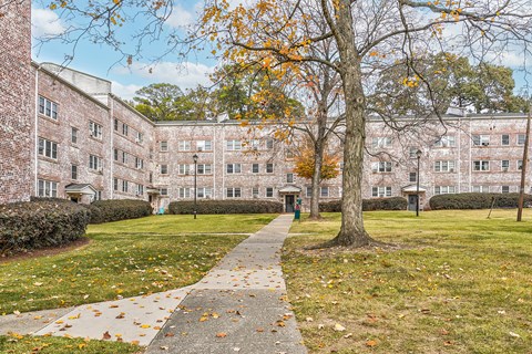 A tree with yellow leaves stands in front of a brick building.