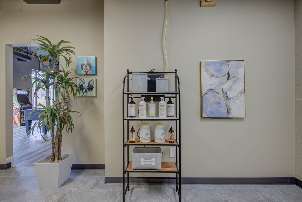 a room with a shelf with bottles and a potted plant