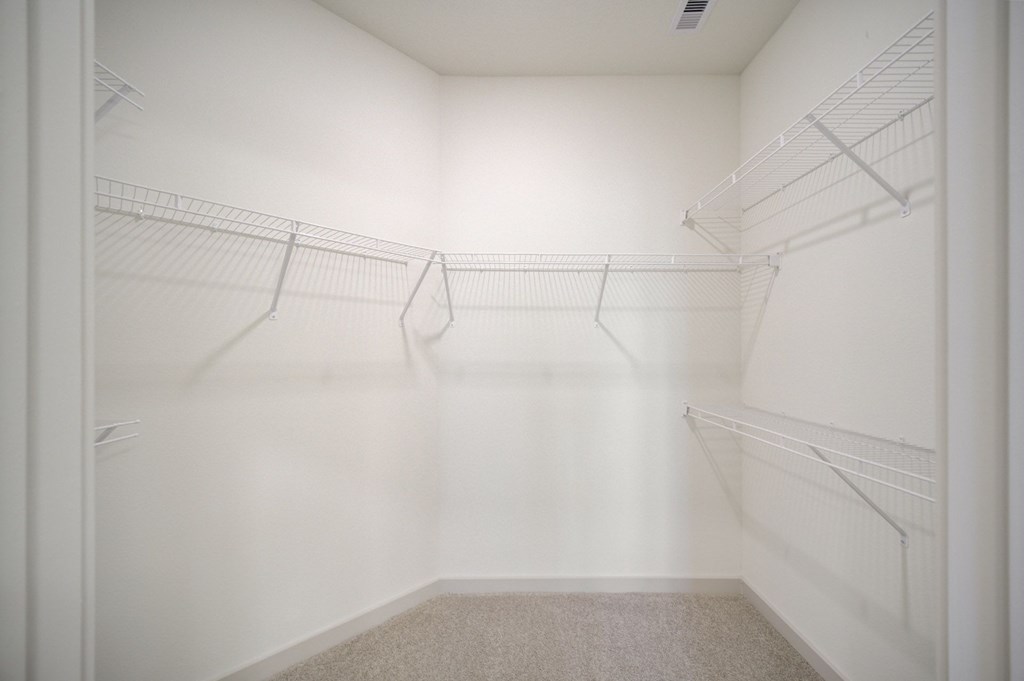 Empty white closet with shelves and a carpeted floor.