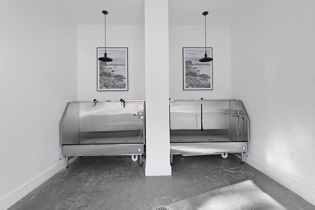 Pet Wash at Terraces at High Mountain, Huntsville, 35811