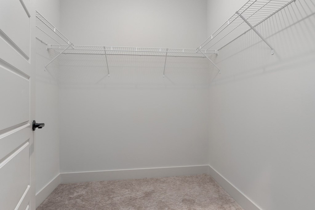 A white pantry with a carpeted floor and a door on the left.