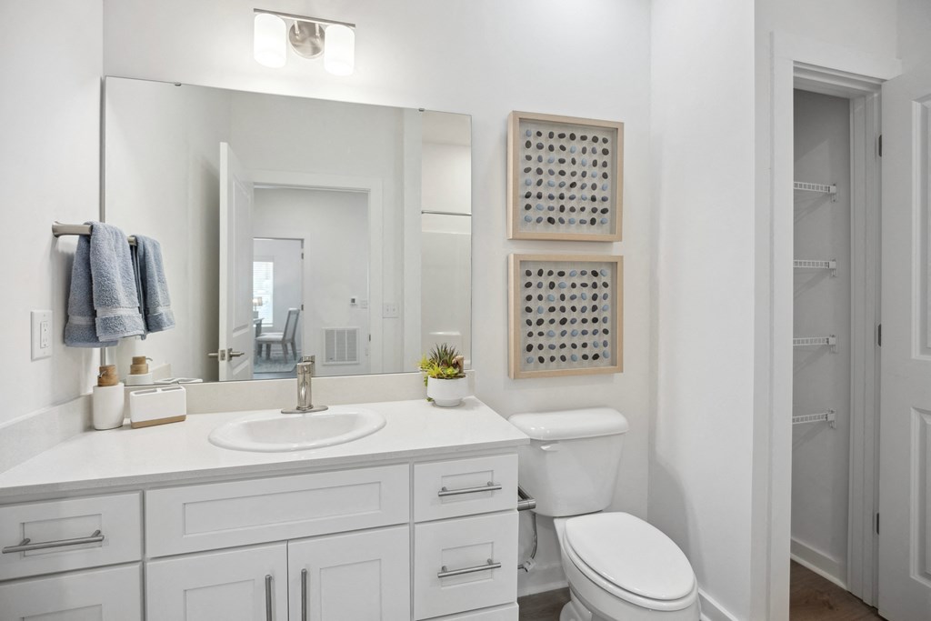 a bathroom with a sink and a toilet and a mirror