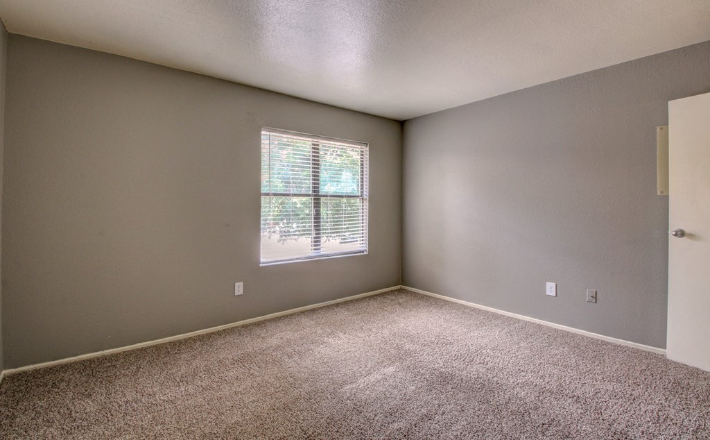 an empty room with carpet and a window
