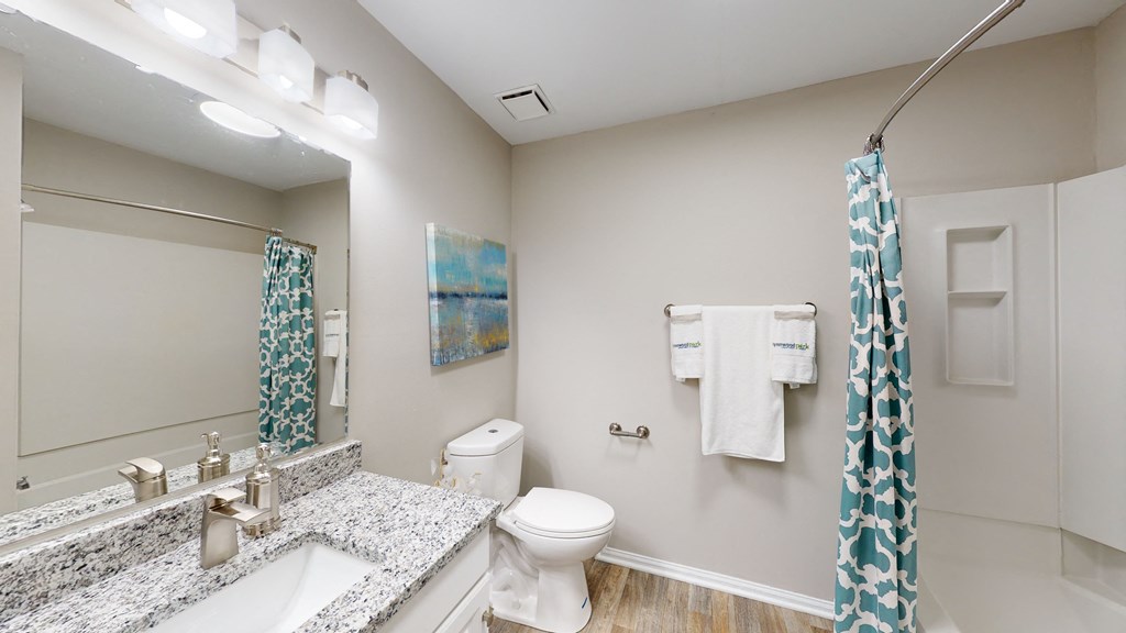 plenty of counter space in the bathroom