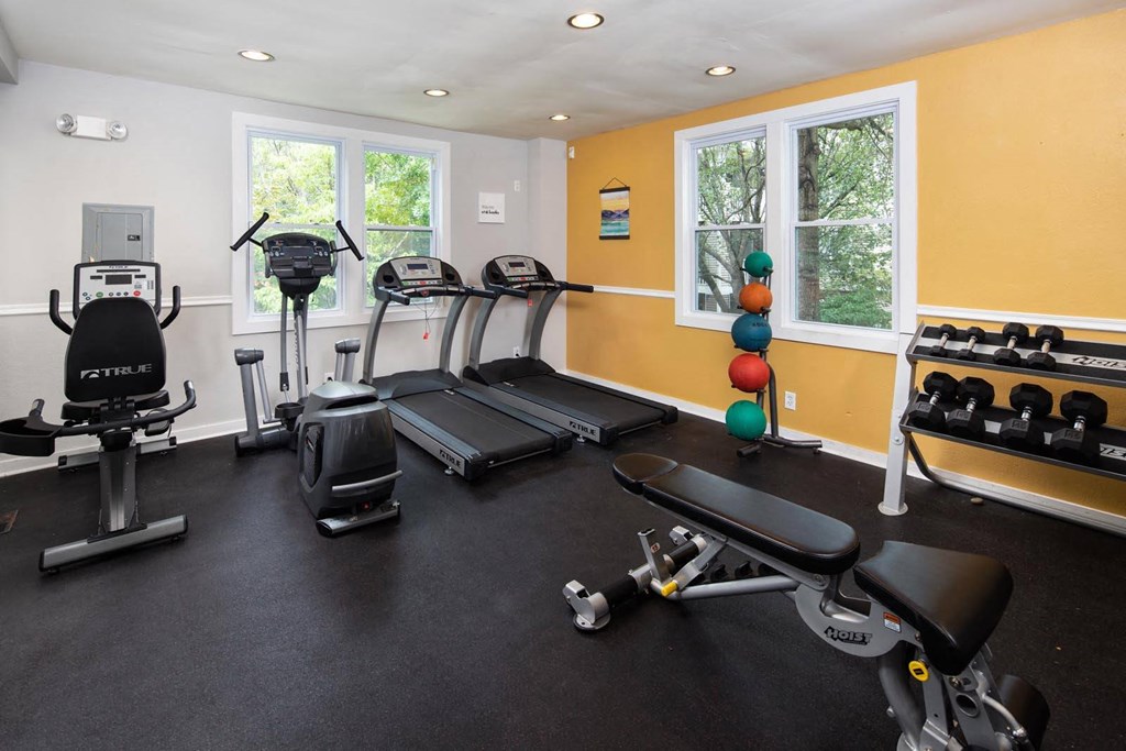 a home gym with treadmills and exercise balls
