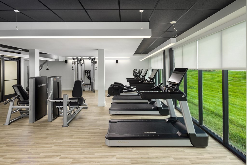 A gym with treadmills, weights, and exercise equipment.