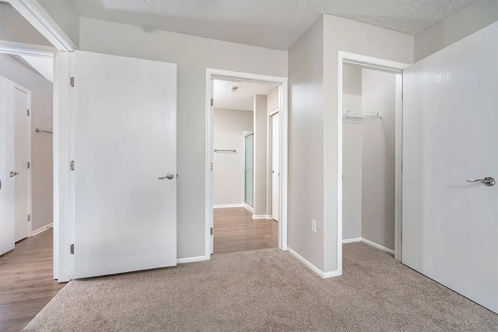 A hallway with white doors and a carpeted floor.