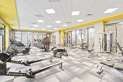 Fitness area at Pier 33 apartments at Pier 33 Apartments, Wilmington, NC, 28401