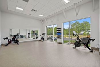 the gym at the flats at big tex apartmentsat Metropolis Apartments, Virginia