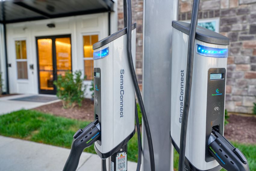 Artistry At Winterfield