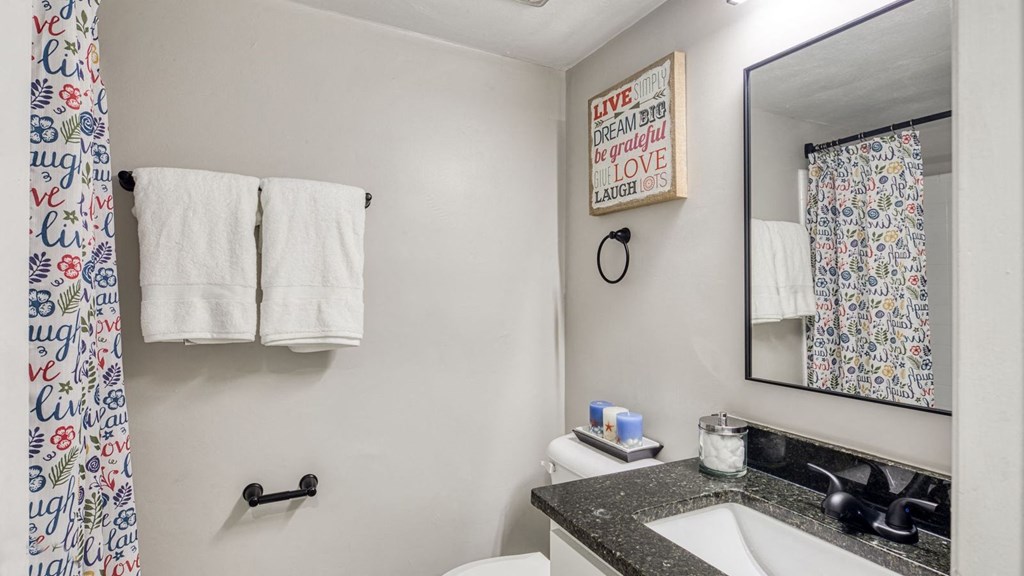 a bathroom with a sink and a mirror and a toilet  at Bayville Apartments, Virginia Beach, VA