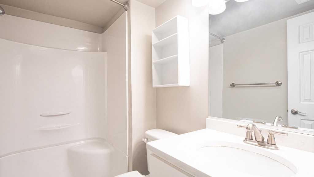 a bathroom with a sink and a shower and a mirror