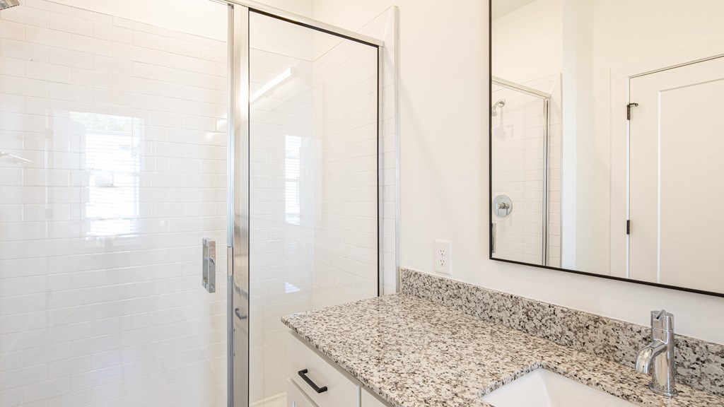 a bathroom with a sink and a shower with a glass door at Ainsworth, Virginia
