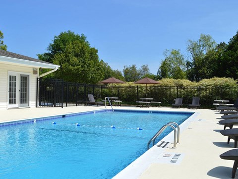 A swimming pool with a blue tinted water and a white border.
