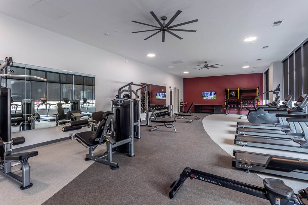 a gym with weights and treadmills and a large windowat Centro at Pine Nash, Wilson, North Carolina