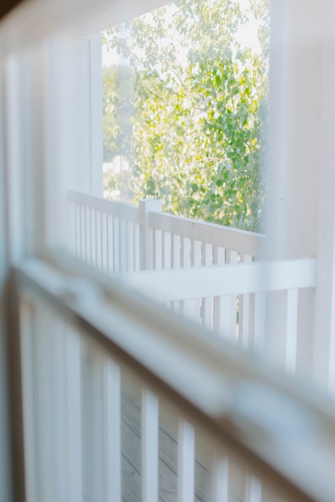 A white window frame with a view of green trees outside.