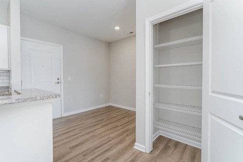 Closet View at The Greens at Fort Mill, Fort Mill
