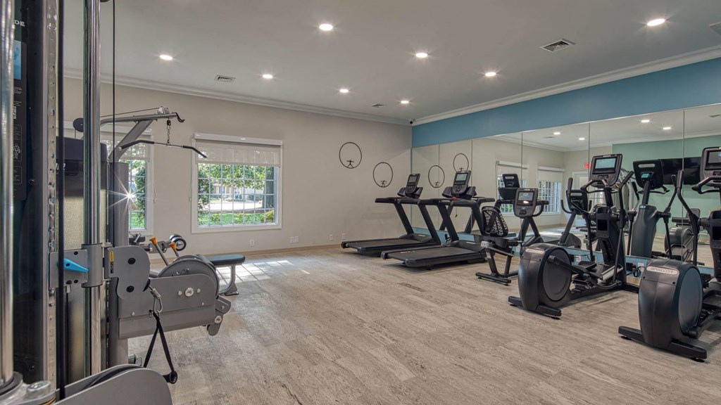 the gym is equipped with state of the art cardio equipment and weights