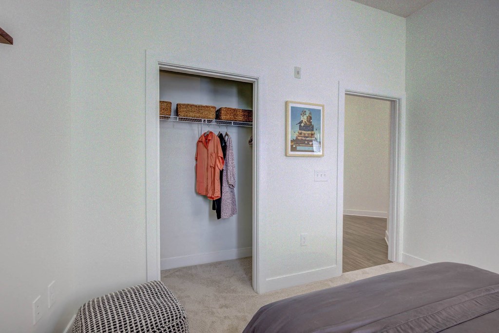 Large Closet View at The Lincoln Apartments, Raleigh, NC, 27601