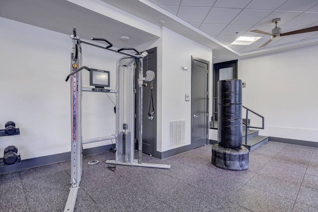Modern Fitness Center at The Lincoln Apartments, North Carolina, 27601