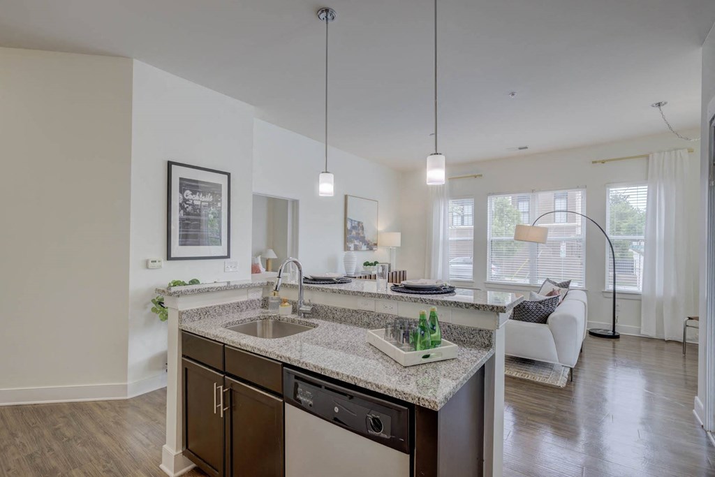 Kitchen Unit at The Lincoln Apartments, North Carolina, 27601