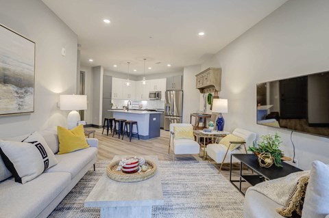 A living room with a grey couch and a rug.