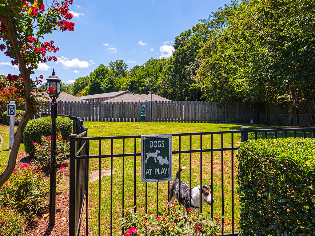 Dog Park at Holly Point Apartments in Chesapeake VA