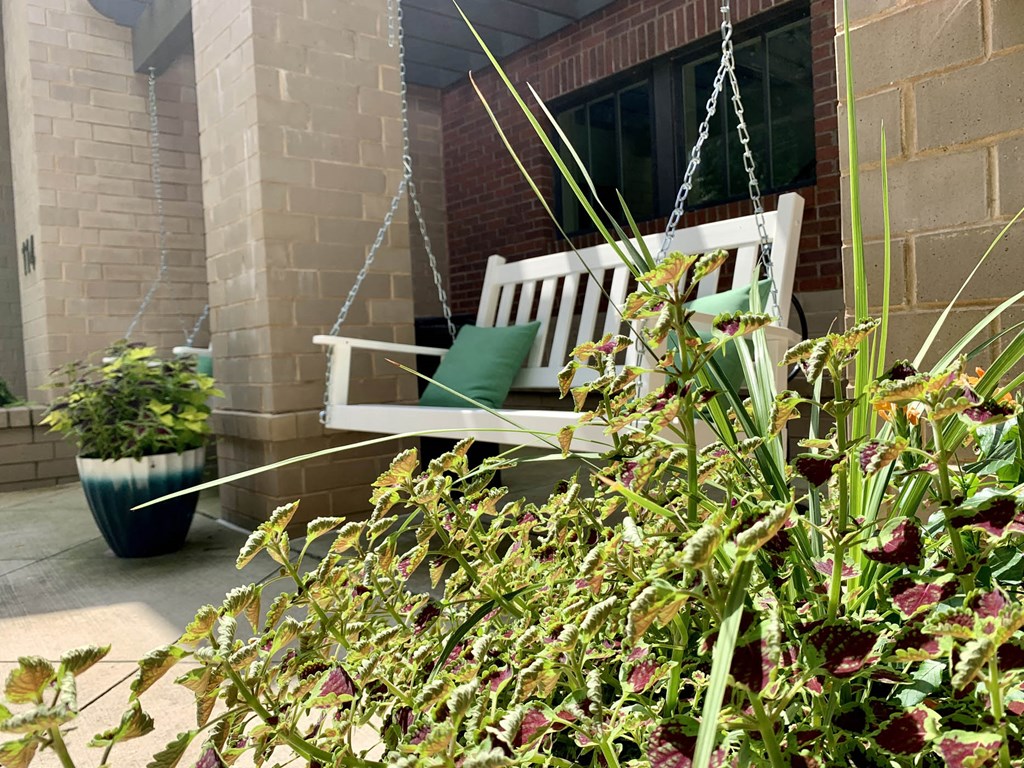 Courtyard Swing at The Greens at Fort Mill, Fort Mill, 29715