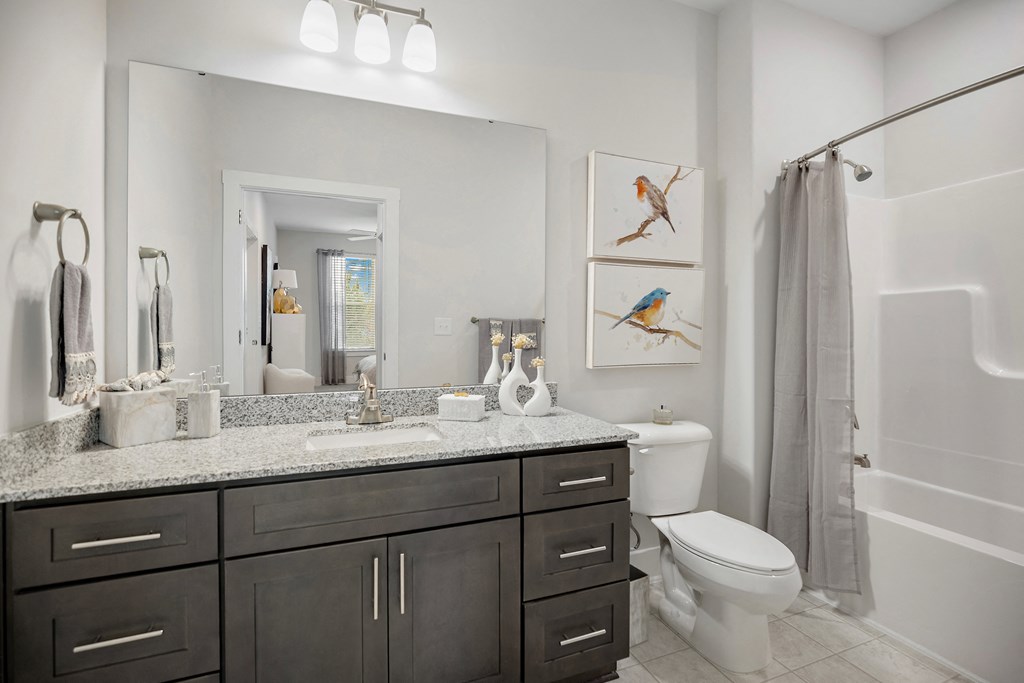 a bathroom with a sink and a toilet and a shower at Ellis Station, Durham, 27703