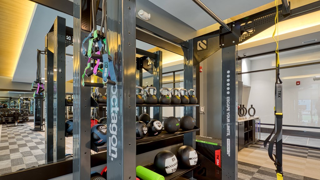 a gym with weights and other gym equipment on display at Aura Stonebridge, Virginia, 23225
