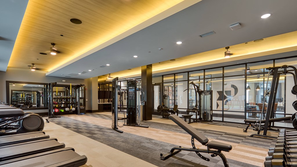 a gym with treadmills and weights in a building with glass walls a gym with treadmills and weights in a building with glass walls at Aura Stonebridge, Richmond, VA