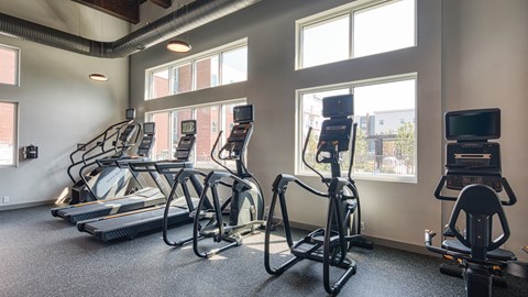 Ellipse Urban Apartments