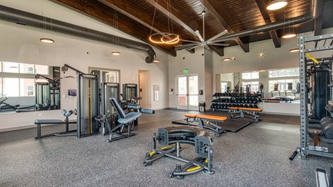 Ellipse Urban Apartments