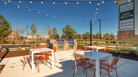Grilling Area at Allure at Edinburgh, Chesapeake, Virginia