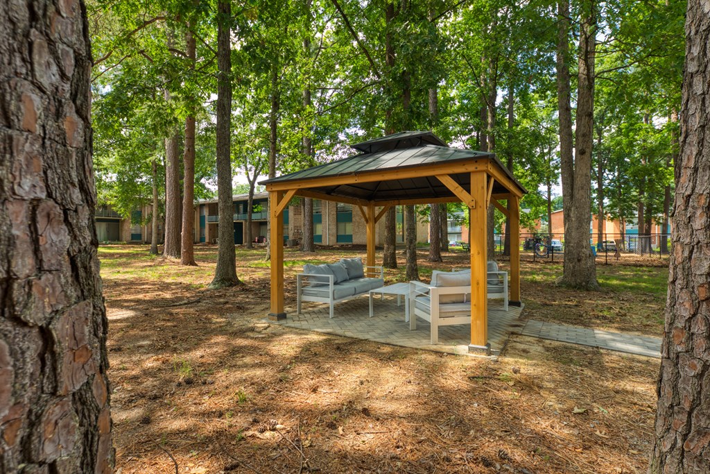 Gazebo in the Park at Acclaim at Carriage Hill, Richmond, VA