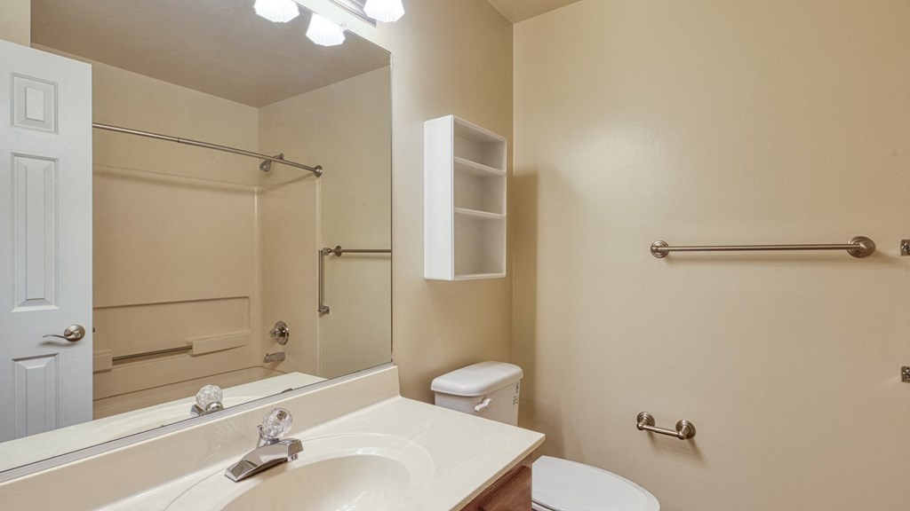 A bathroom with a sink, toilet, and a mirror.