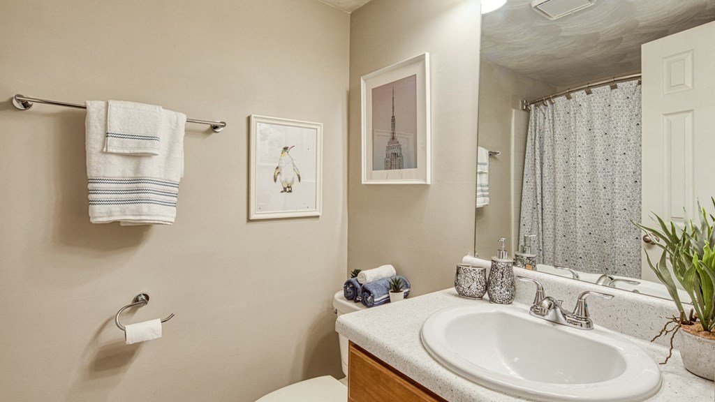 a bathroom with a sink and a mirror and a toilet