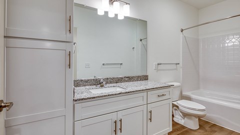 a bathroom with a sink and a toilet and a showerat The Walker Virginia Center in Glen Allen, VA 23059