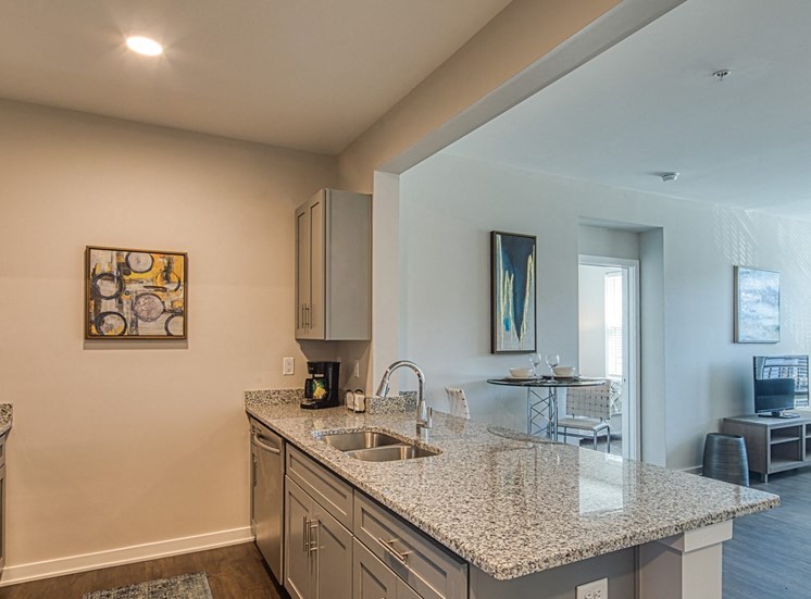 Guest_Suite_Kitchen_Lumen_