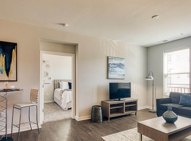 Living room at luxury apartments in Hampton VA