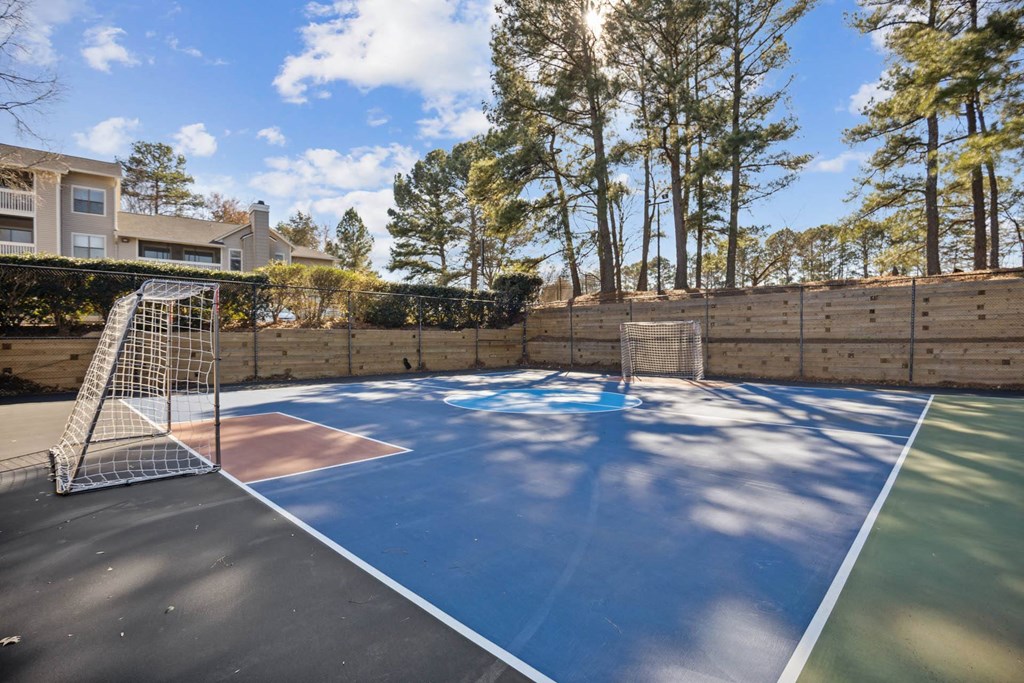 the backyard has a tennis court and a goal net