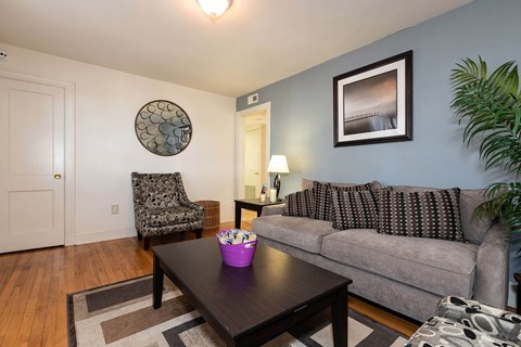 A living room with a grey couch, a black coffee table, a chair, and a potted plant.