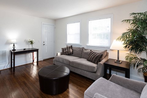 A living room with a grey couch, a black ottoman, a wooden table, and a potted plant.