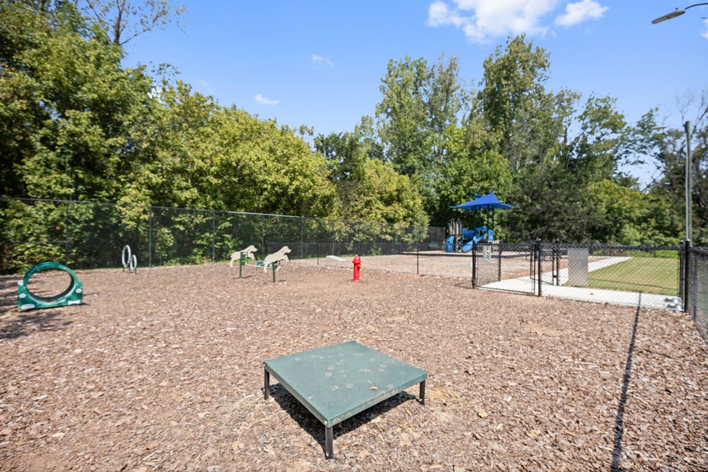 the dog park has a playground and a picnic table