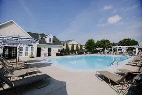 A swimming pool surrounded by sun loungers and umbrellas.
